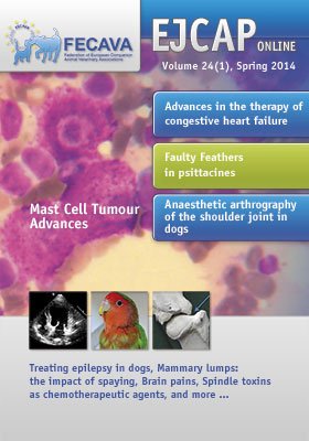 EJCAP 24(1), Spring 2014