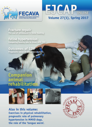 EJCAP 27(1), Spring 2017