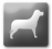 Dogs