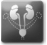 Urogenital