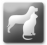 Cats & Dogs