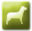 Dogs