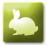 Rabbits