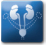 Urogenital