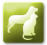 Cats & Dogs